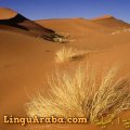 Dune vicino a Riyadh, Arabia Saudita